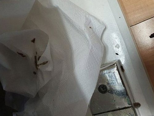 돈의동 빌라 하수구막힘 사전 점검 체크리스트